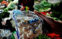 Siêu thị đồng loạt thu hồi nấm không nguồn gốc