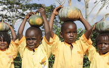 Hãy 'ăn chậm' bởi vì...