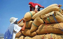 'Tổng giám đốc trăng hoa' trở thành chủ tịch Hiệp hội Lương thực Việt Nam?