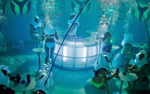 Video virus 'kinh dị' -  Xu hướng quảng cáo gây sốt toàn cầu