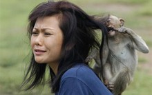 Đừng vác 'con khỉ' của nhân viên cấp dưới