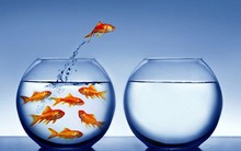 Giúp nhân viên cấp dưới lần đầu làm sếp: 'Hãy học, quên và học lại'