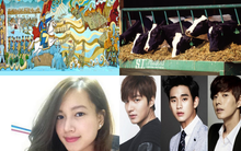 [Nổi bật] Đức Long Gia Lai dốc tiền nuôi bò, phó TGĐ 8X rút khỏi Vietinbank Capital