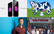 [Nổi bật] Apple của Tim Cook vừa chào đời đêm qua, tại sao các đại gia nuôi bò?