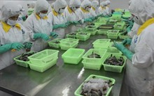 Nông nghiệp “được mùa, được giá”