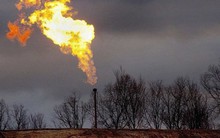 Mỹ gây sốc khi cho phép xuất khẩu dầu thô