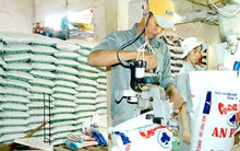 Bộ Tài chính yêu cầu giảm giá phân bón, thức ăn chăn nuôi