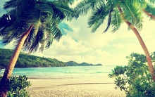 Các doanh nhân: Hãy ngừng làm việc và nghỉ ngơi!