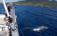 CEO bán nhà đưa gia đình đi vòng quanh thế giới trong 3 năm