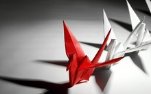 Ứng viên tài năng có ở mọi nơi, câu hỏi là bạn tìm ra họ bằng cách nào?