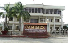 CMX: Suốt 4 quý có lãi, cả năm bất ngờ báo lỗ khủng 127,8 tỷ đồng