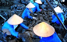 4 cổ phiếu ngành than TC6, THT, HLC, MDC báo lãi quý 2/2014