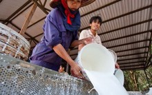 Kết quả kinh doanh Doanh nghiệp cao su tự nhiên vẫn sụt giảm