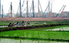 Khó khăn trong điều chỉnh thời hạn sử dụng đất nông nghiệp 