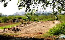 98% vụ khiếu nại tố cáo về nhà đất được giải quyết trong năm 2013