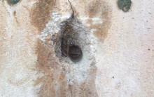 13 ngày sau Bộ trưởng vi hành: Cầu Vĩnh Tuy ra sao? 