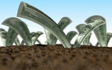 TPHCM: Quận 2 tiếp tục là "vị trí vàng" hấp dẫn nhà đầu tư BĐS