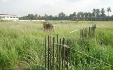 Lãng phí đất trong các khu kinh tế
