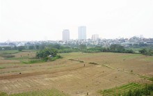 Hà Nội đồng ý cho thuê đất bãi sông Hồng 