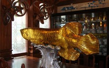 Phong thủy phục sinh trong đời sống đương đại