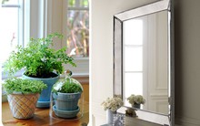 Tư vấn bài trí nội thất căn hộ 17m² tiện nghi cho 2 người