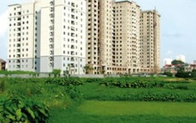 Tổ chức có vi phạm đất đai không được giao đất để thực hiện dự án