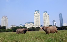 9 sự kiện nổi bật của thị trường BĐS năm 2013