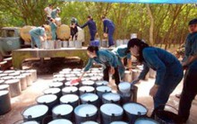 VCBS: Ngành cao su tự nhiên thích hợp đầu tư dài hạn