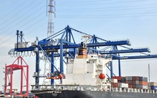 TP. Hồ Chí Minh: Dồn lực cho sản xuất