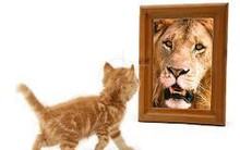 Những kế hoạch "vô tiền khoáng hậu"