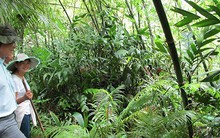 Chối bỏ tính pháp lý