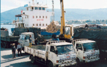 DXV: Kiểm toán tiếp tục thận trọng bảo vệ ý kiến ngoại trừ