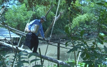 Bưu chính Viettel cán mốc doanh thu 1.000 tỷ đồng