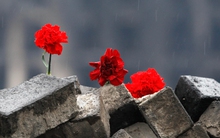 [Slides] Ukraine - Những hình ảnh không quên