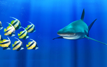 Lực lượng nào quan trọng: Tập đoàn kinh tế hay DN nhỏ và vừa?