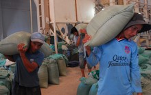 Thất thoát hàng trăm tỉ đồng tại Vinafood 2