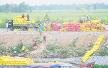 Vì sao Vinafood 2 thoải mái xài tiền như rác?