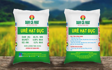 IPO Đạm Cà Mau: Vì sao PVN góp 920 tỷ đồng trước thềm IPO?