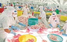 Nhiều doanh nghiệp mơ hồ, thụ động