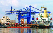 Kín lịch đàm phán Hiệp định TPP