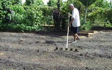 Thêm phương án trả nợ đối với Vinacafe