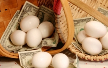 PIT: Thất lạc chứng từ công nợ trị giá 4,85 tỷ đồng