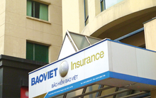 Sếp Bảo Việt "dính" lao lý vì… 4,5 tỷ đồng?