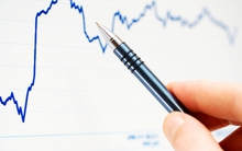 HOSE: Loại bỏ cổ phiếu VNI khỏi rổ chỉ số VNSmallcap