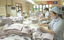 Công ty con của TCM đầu tư xây dựng nhà máy 645 tỷ đồng