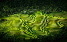 PAN lên kế hoạch lợi nhuận hợp nhất 140 tỷ đồng năm 2014