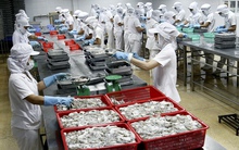 ABT: Doanh thu tài chính tăng vọt, quý 1 lãi 22,5 tỷ đồng