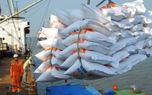 Vinafood 2 xài tiền như rác: Có dấu hiệu cố ý làm trái