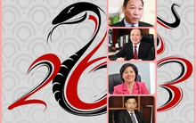 7 doanh nhân thành đạt và quyền lực tuổi Quý Tỵ (1953)