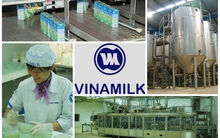 [Inside Factory] Khám phá những máy móc khổng lồ bên trong nhà máy sữa Vinamilk